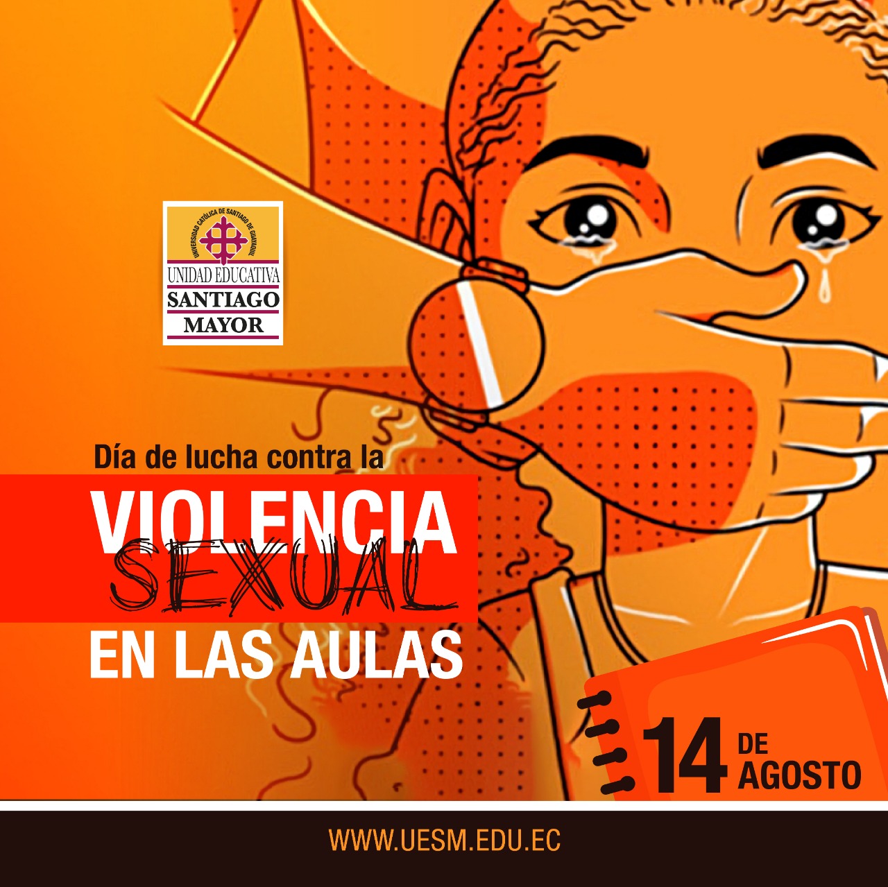 Día De La Lucha Contra La Violencia Sexual En Las Aulas Unidad Educativa Santiago Mayor